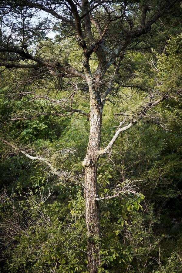 Letamo At Qwabi Private Game Reserve By Newmark Bela-Bela Buitenkant foto